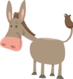 Cartoon Illustration of Cute Donkey Farm Animal